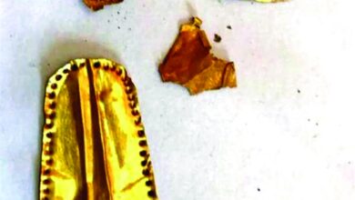 صورة مومياوات مصرية بألسنة من ذهب