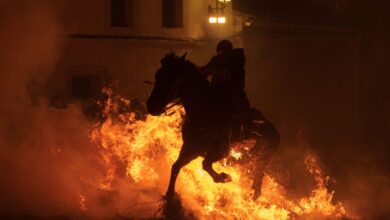 صورة مهرجان “لوميناريس” الإسباني.. خيولٌ ترقص فوق ألسنة النيران
