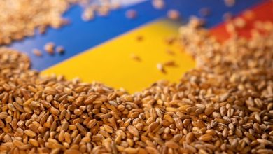 صورة المجر تشدد قيودها على واردات الحبوب الأوكرانية