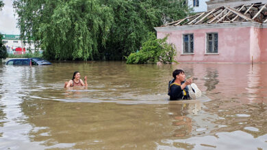 صورة الفيضانات تنشر تماسيح في ربوع القرم