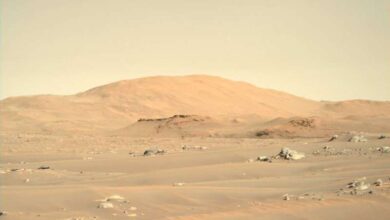 صورة «ناسا» تنشر صورة جديدة رائعة من المريخ