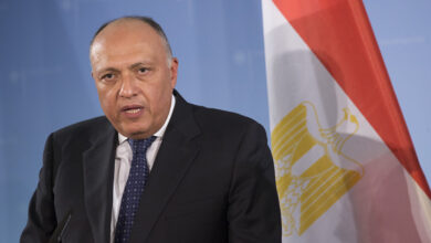 صورة إصابة وزير الخارجية المصري سامح شكري بكورونا