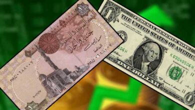 صورة ارتفاع جديد في سعر الدولار بمصر