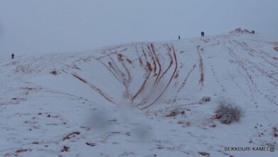 صورة الثلوج تُبهج الجزائريين في الشمال وتُلحّف صحراءهم برداء أبيض