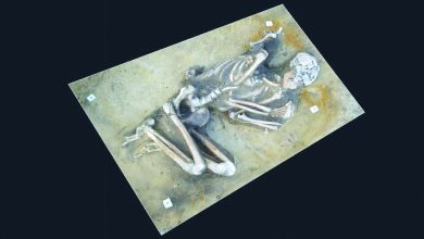 صورة «هيكل عظمي» لشخص عاش قبل 7000 عام